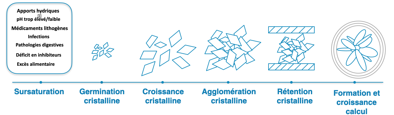 Lithiase Urinaire: Signes Cliniques et Traitements Chirurgicale ...